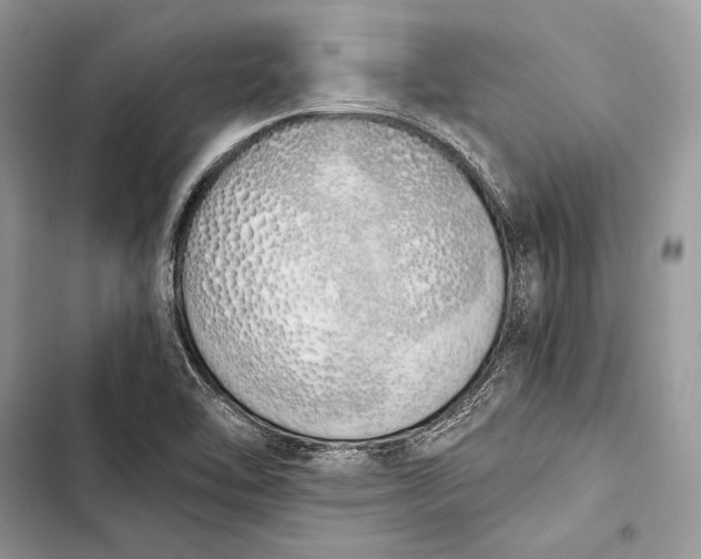 X0000103501462200810031617