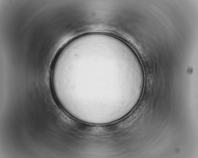 X0000103501463200810031617