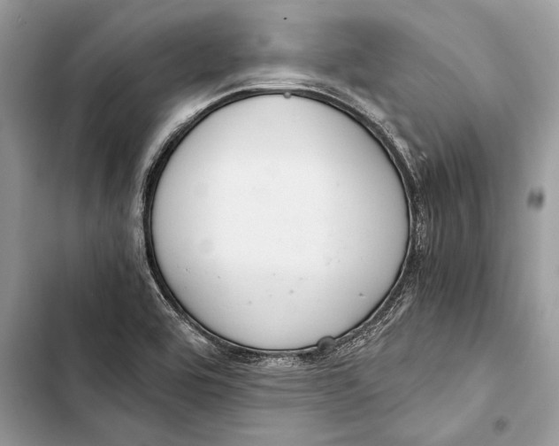 X0000103501464200810031617