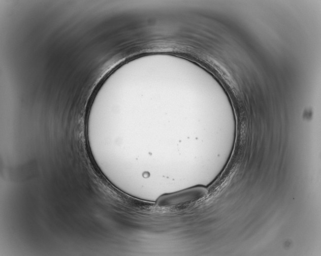 X0000103501465200810031617