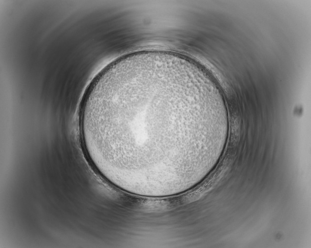 X0000103501466200810031617