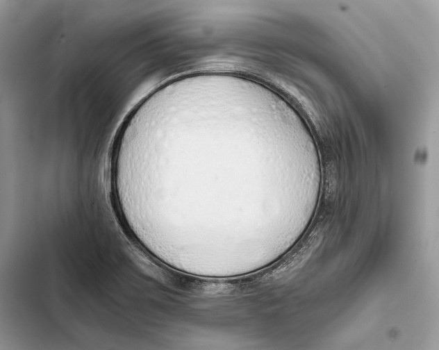 X0000103501467200810031617