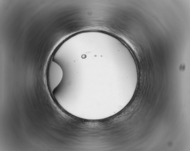 X0000103501468200810031617