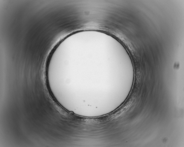 X0000103501469200810031617