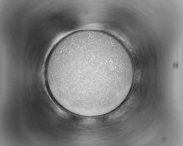 X0000103501470200810031617