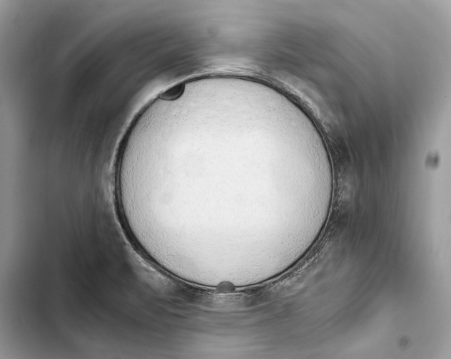 X0000103501471200810031617