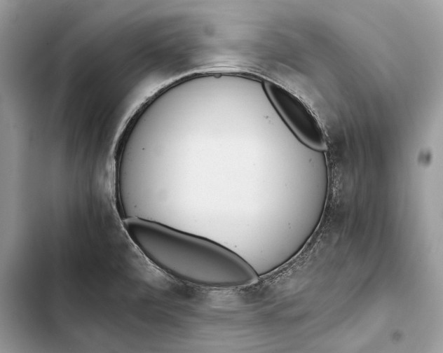 X0000103501472200810031617