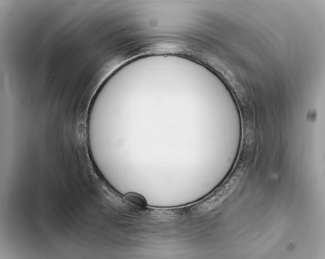 X0000103501473200810031617