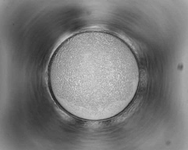 X0000103501474200810031617