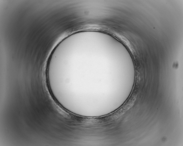 X0000103501475200810031617