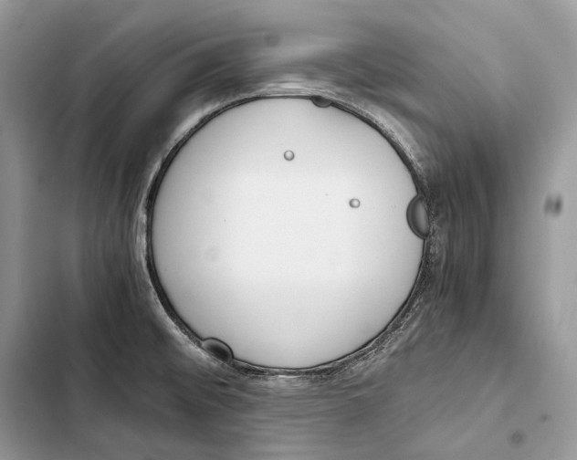 X0000103501476200810031617