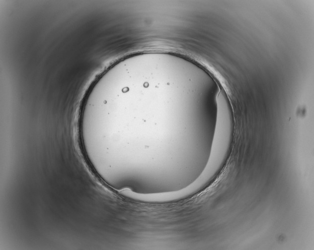 X0000103501477200810031617