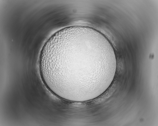 X0000103501478200810031617