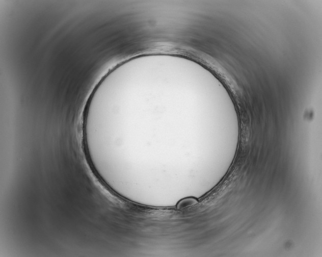 X0000103501479200810031617