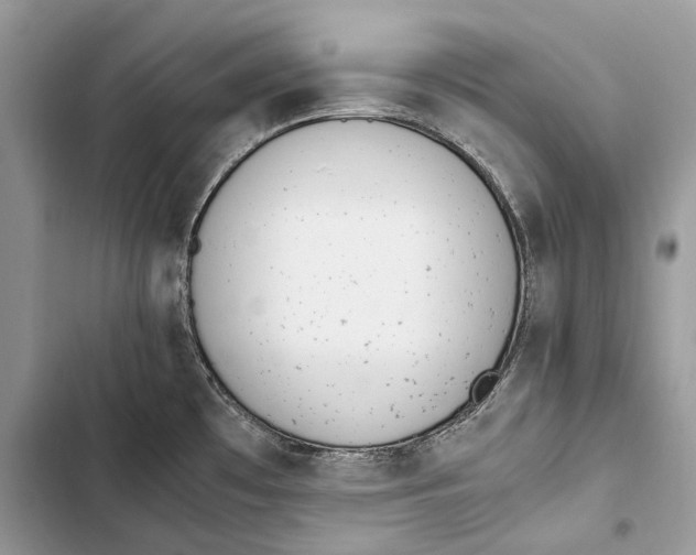 X0000103501481200810031617