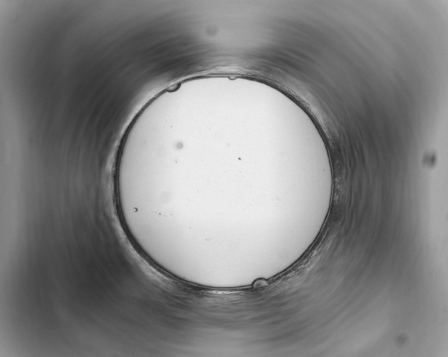 X0000103501483200810031617