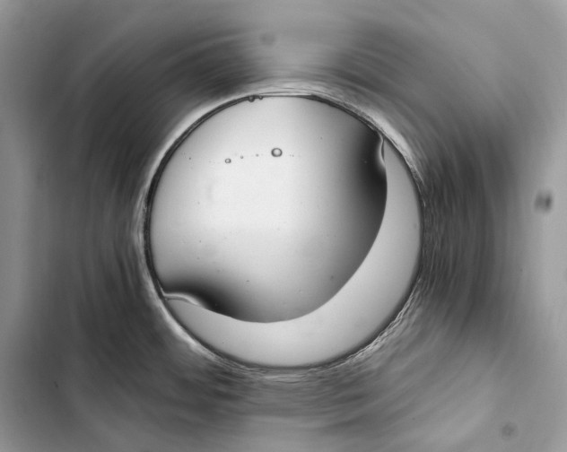 X0000103501484200810031617