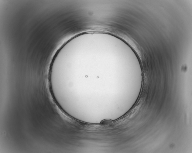 X0000103501485200810031617