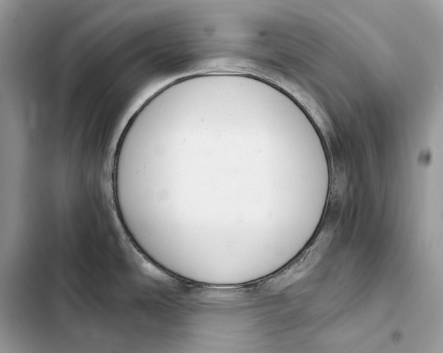 X0000103501486200810031617