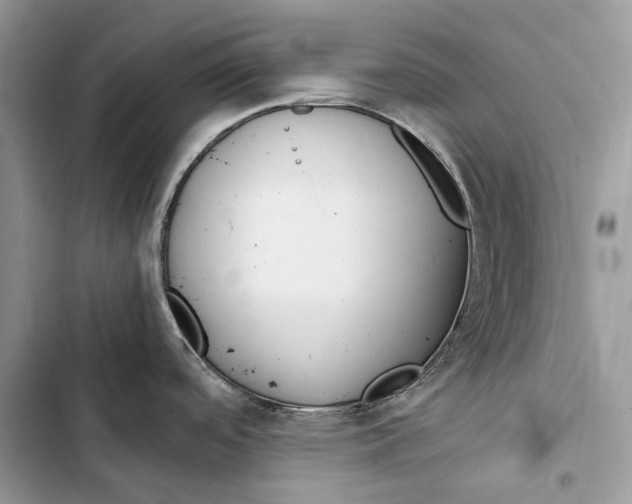 X0000103501488200810031617