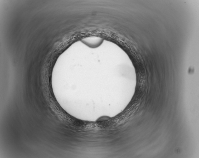 X0000103501489200810031616