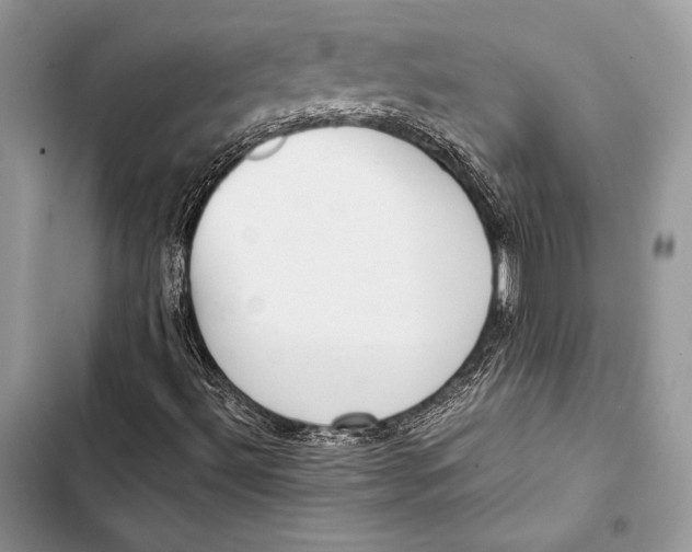 X0000103501492200810031616