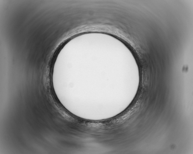 X0000103501498200810031616