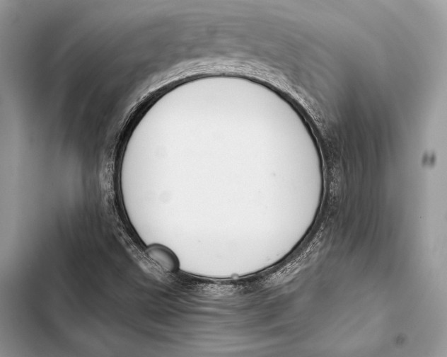 X0000103501499200810031616