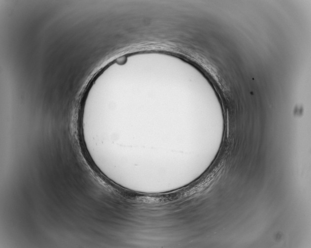 X0000103501500200810031616