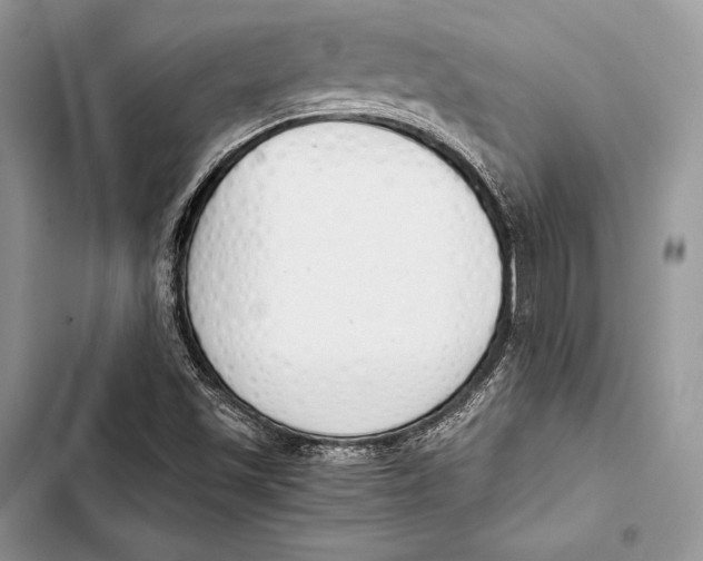 X0000103501501200810031616