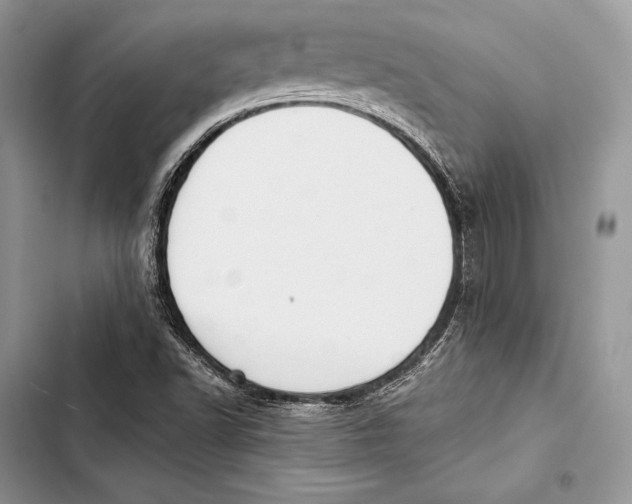 X0000103501502200810031616