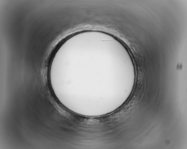 X0000103501503200810031616