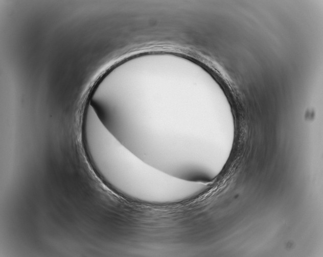 X0000103501504200810031616