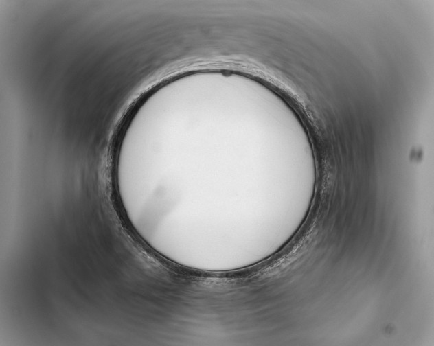 X0000103501506200810031616