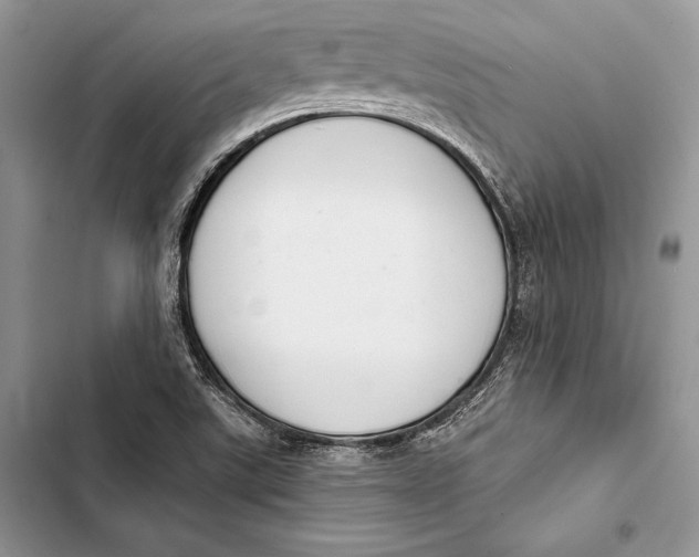 X0000103501507200810031616