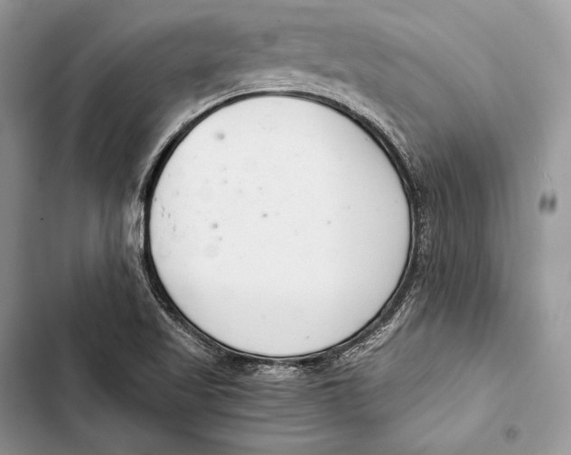 X0000103501509200810031616