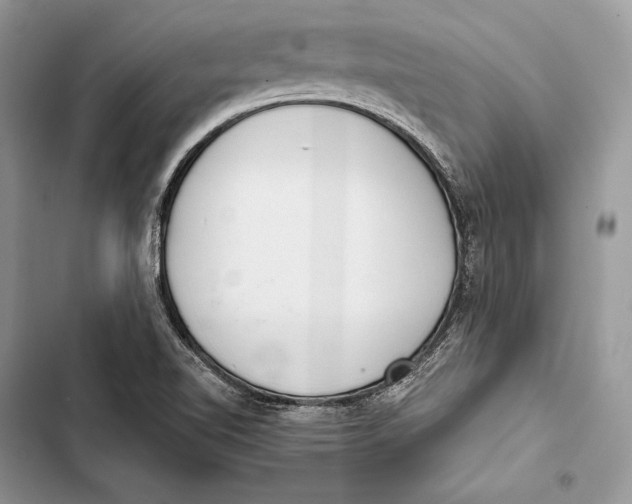 X0000103501510200810031616