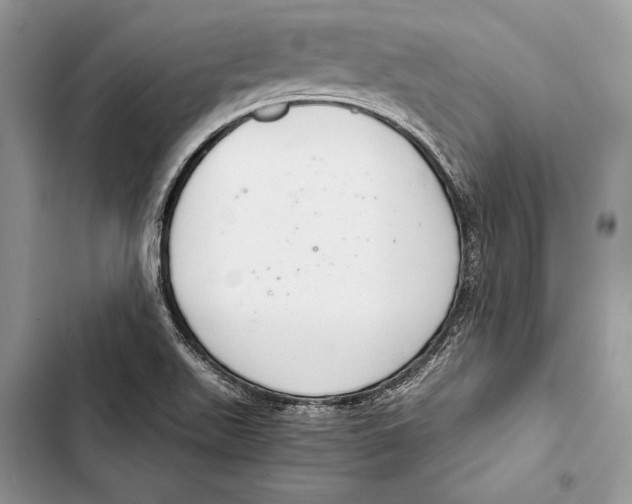 X0000103501511200810031616