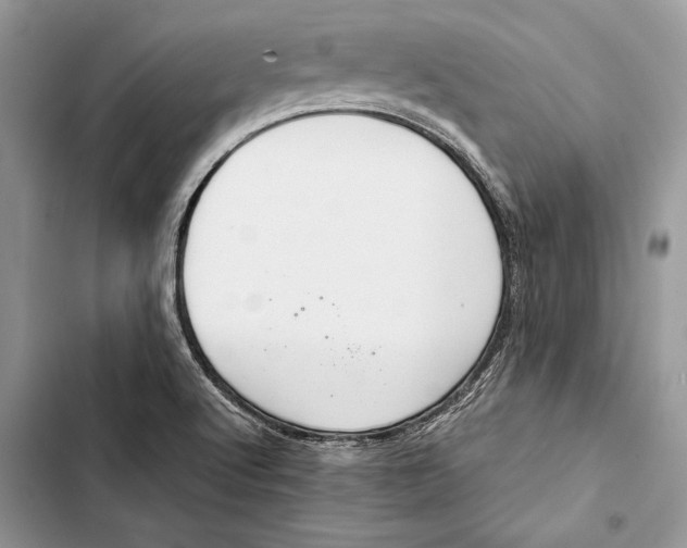 X0000103501512200810031616