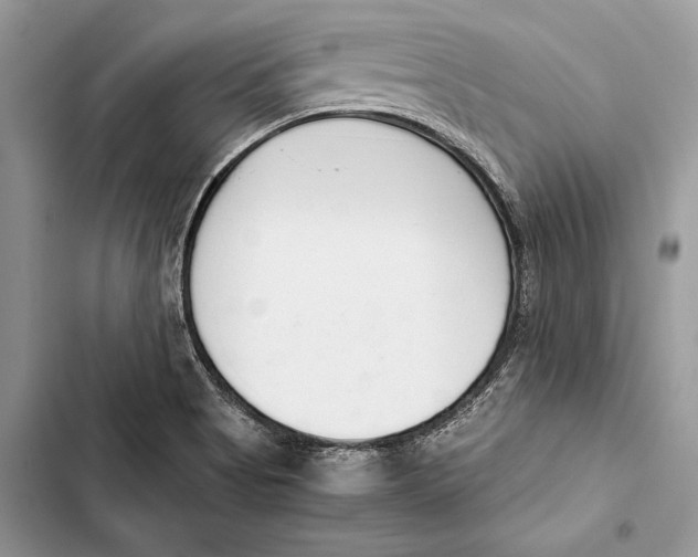 X0000103501513200810031616