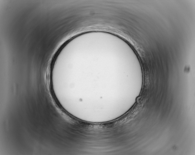 X0000103501515200810031617