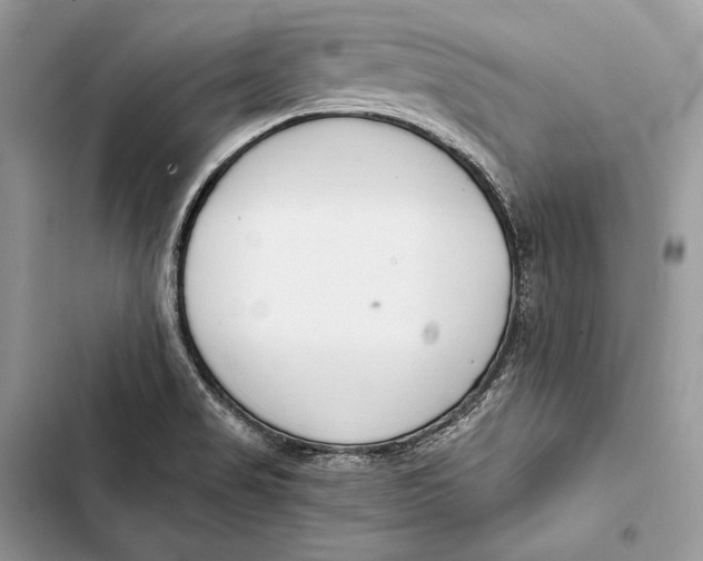 X0000103501517200810031617