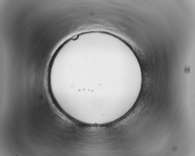 X0000103501518200810031617