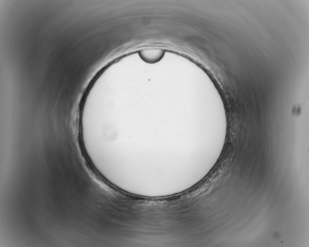 X0000103501519200810031617