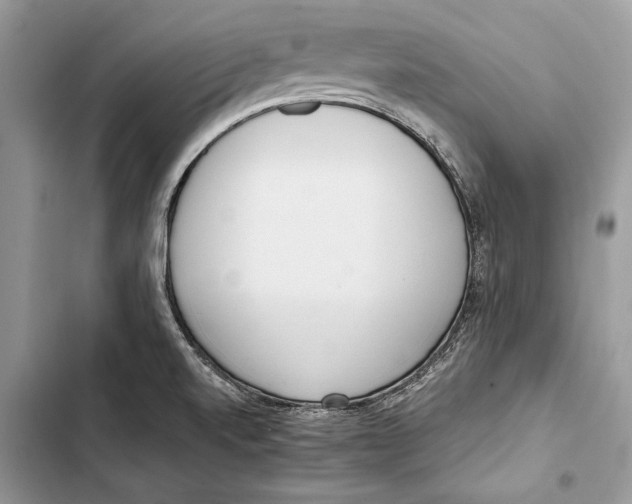 X0000103501520200810031617