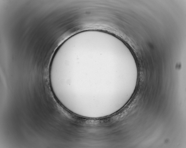 X0000103501521200810031617