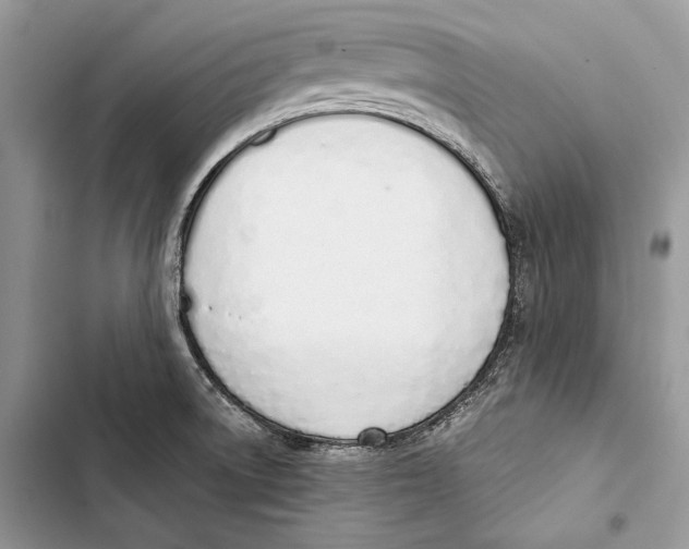 X0000103501522200810031617