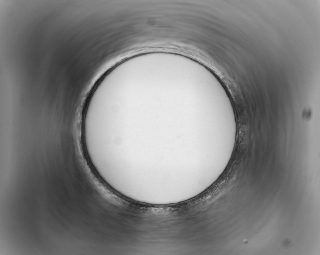 X0000103501523200810031617