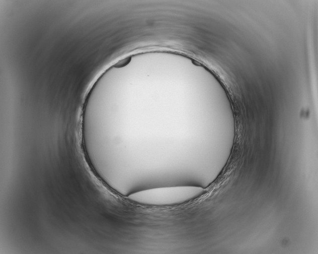 X0000103501524200810031617