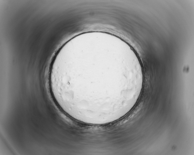 X0000103501525200810031617